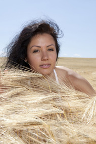 Yellow Field