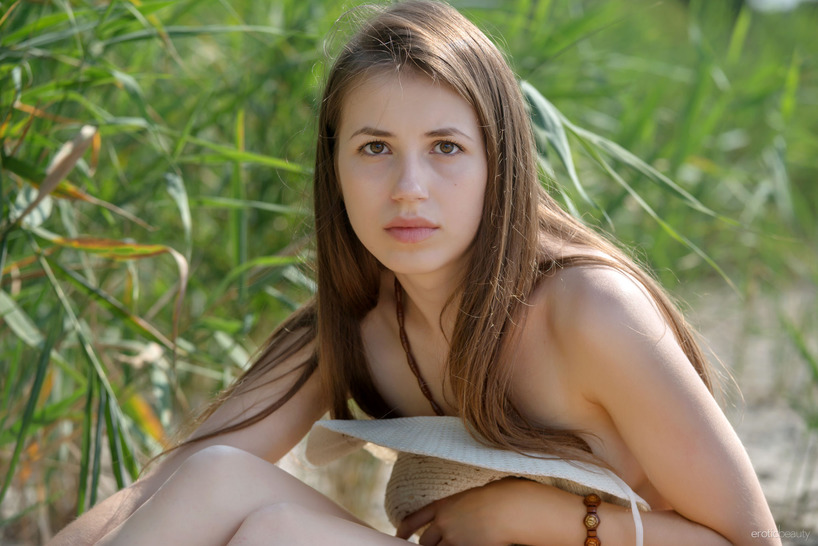 Cattails 08