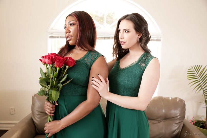 Role Models: Always A Bridesmaid 00