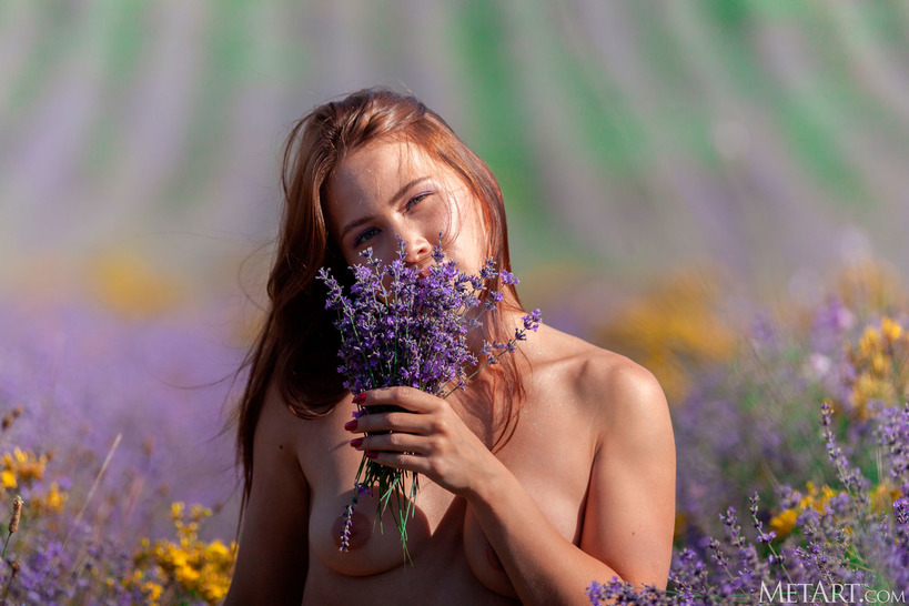 Lavender Lover 08